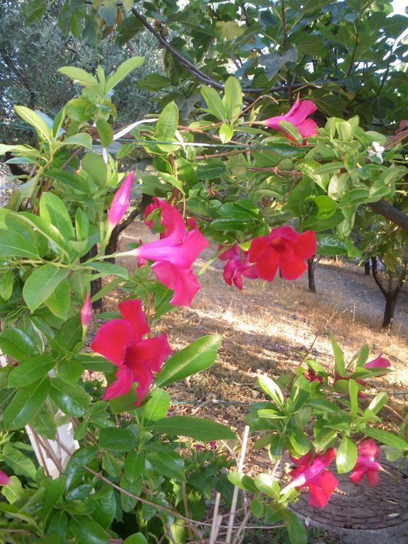 ماراتييا B&B Blanda المظهر الخارجي الصورة